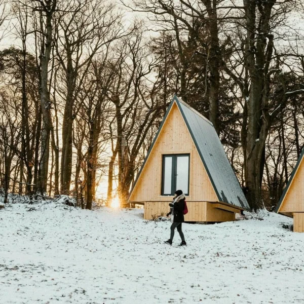 cabanes en bois à la lisière enneigée au soleil