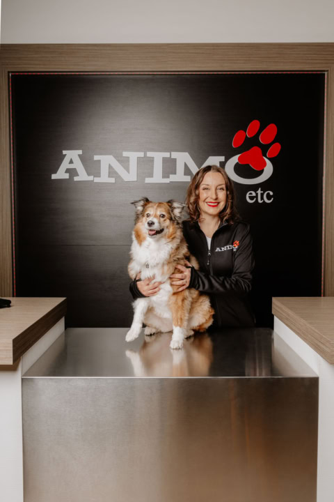 réception vétérinaire: technicienne souriante avec chien