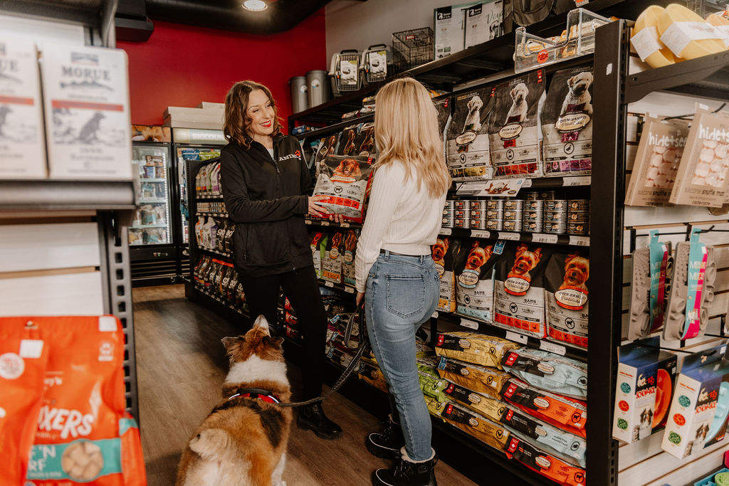 conseils animalerie : choisir les croquettes pour chien