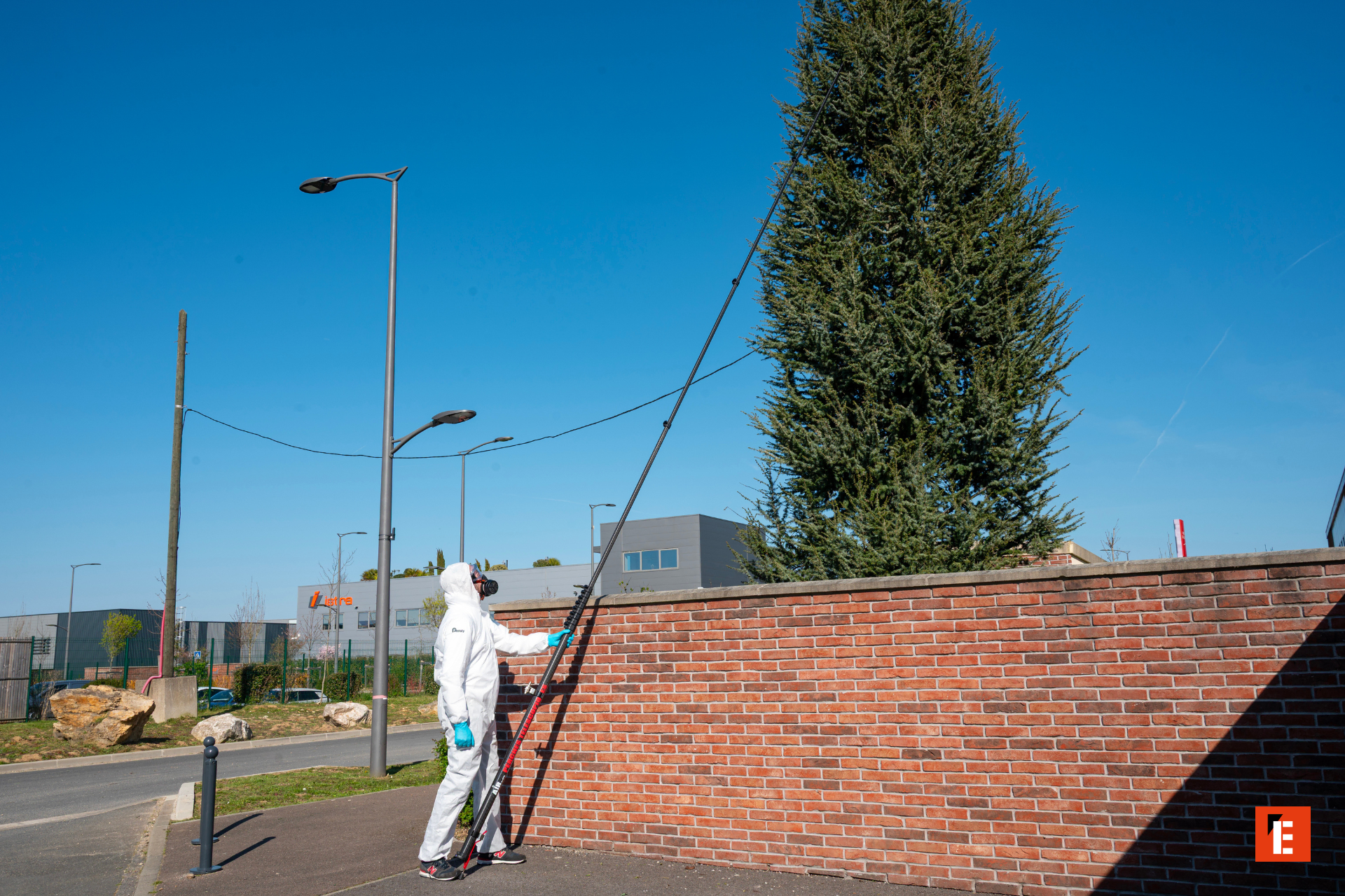 Élagage urbain sécurisé avec perche télescopique