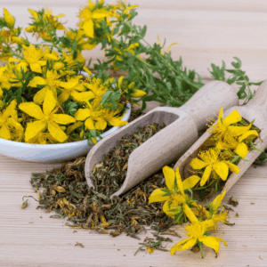 flores y hierbas secas rústicas