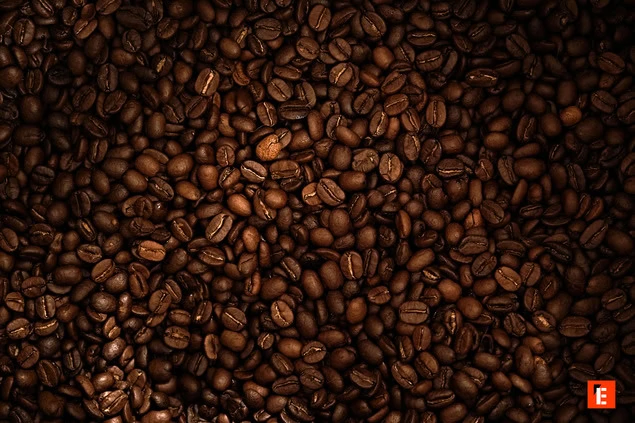 grains de café torréfiés en gros plan