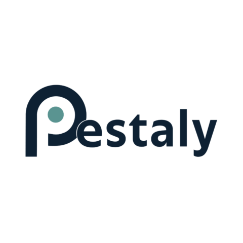 logo minimaliste estaly — p stylisée turquoise