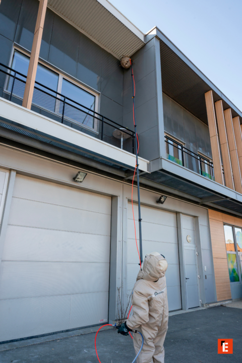 technicien enlève nid dinsectes sous le toit