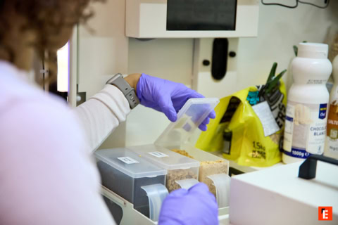 control de calidad: muestreo alimentario con guantes morados