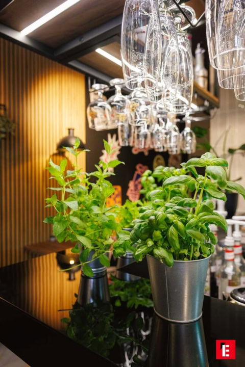 nowoczesny bar z doniczkową bazylią i wiszącymi kieliszkami