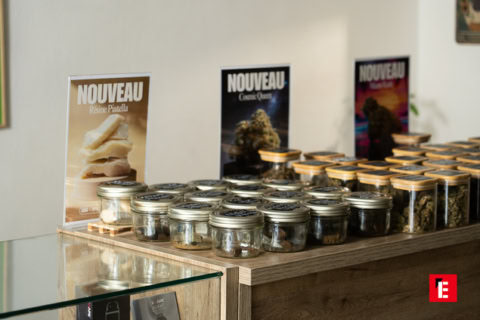vitrine de nouveautés cannabis en bocaux