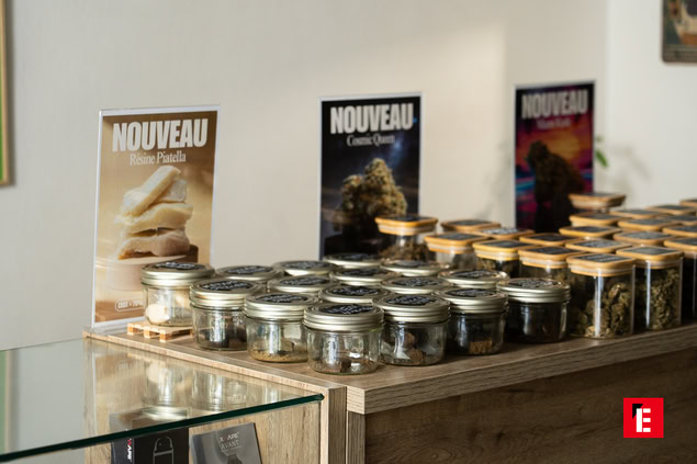 vitrine de nouveautés cannabis en bocaux