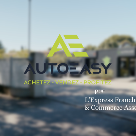 logo autoeasy vert et noir – achat vente de voitures