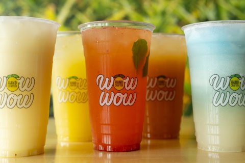 colorful handcrafted summer drinks with garnish