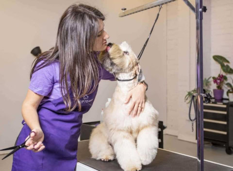dog groomer cuddles fluffy dog on table