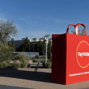 escultura bolsa roja gigante de tk maxx