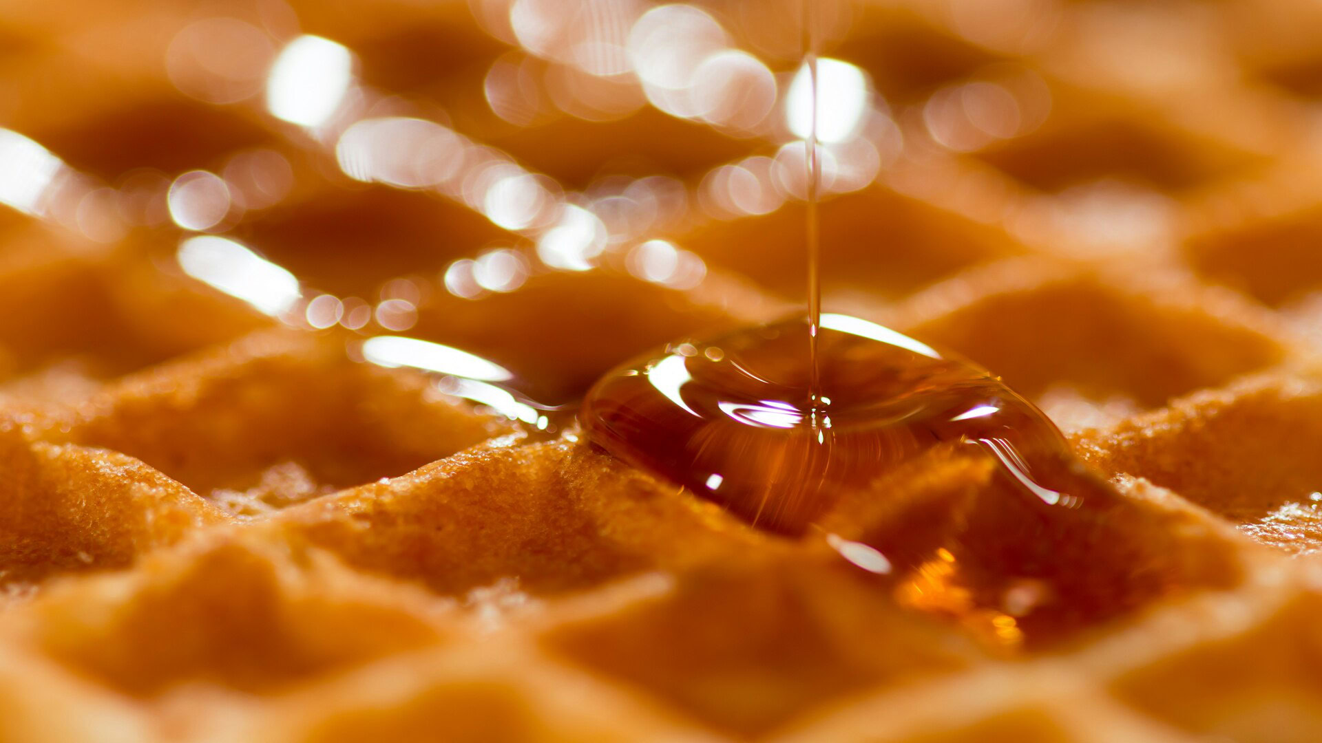 gaufre dorée au sirop : gros plan appétissant