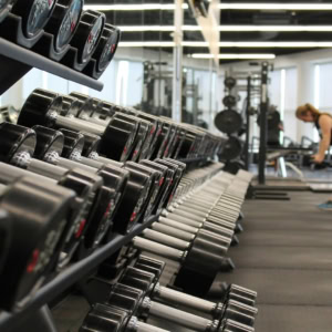 rangée dhaltères chromées en salle de musculation