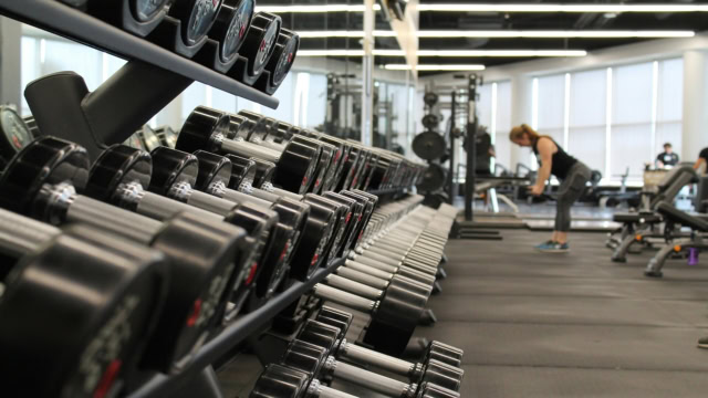 rangée dhaltères chromées en salle de musculation