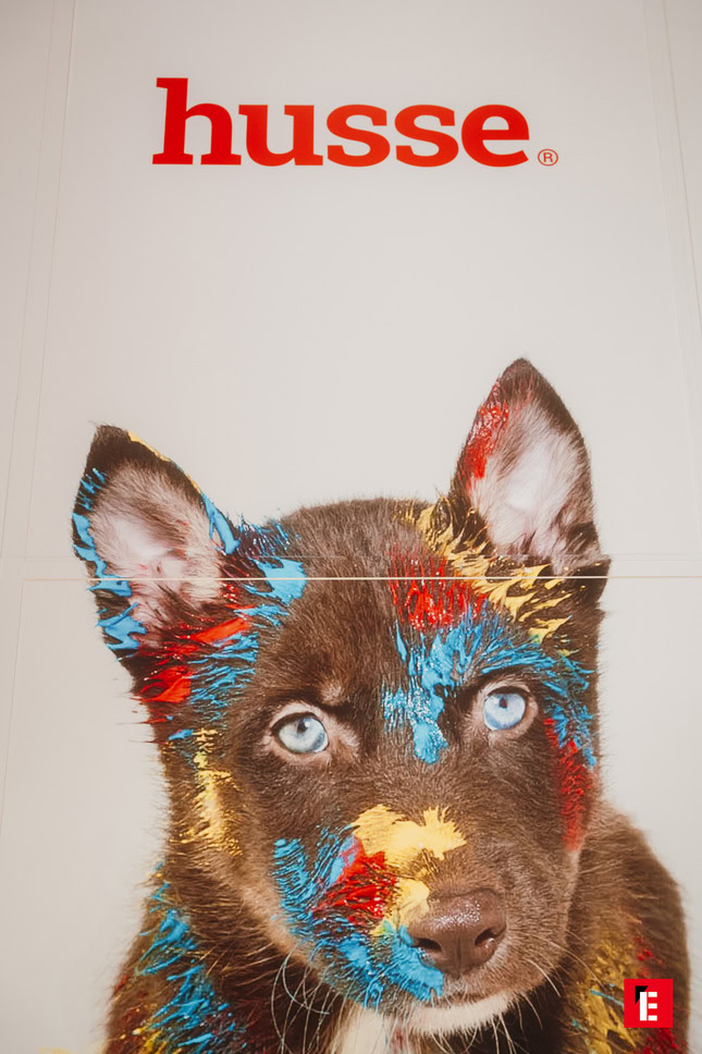 chiot aux yeux bleus et Éclats de peinture