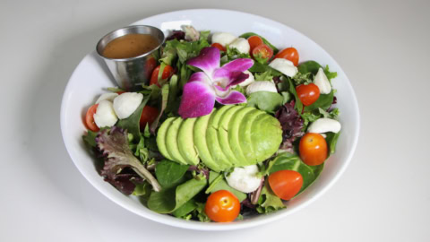 fresh avocado salad bowl with mozzarella and tomatoes