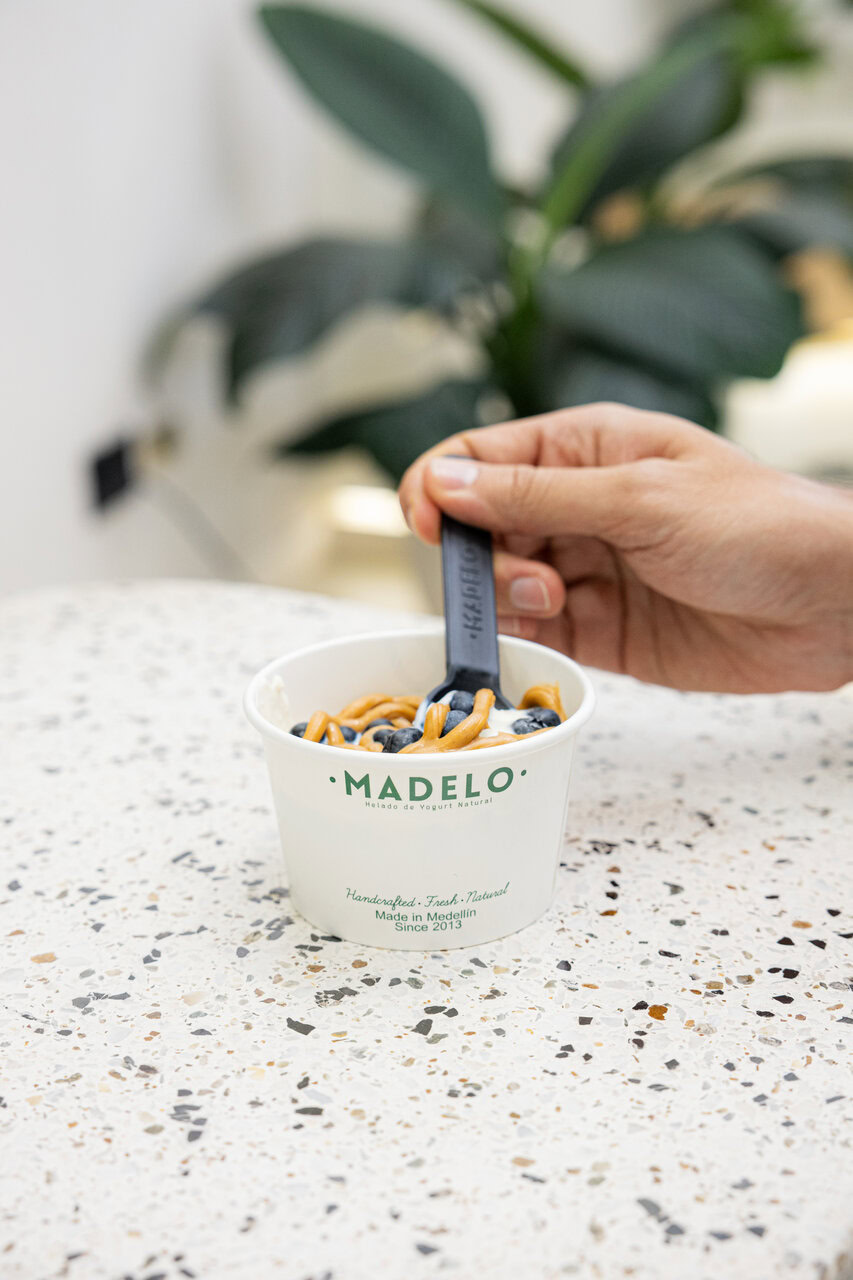yogur helado artesanal con arándanos y sirope