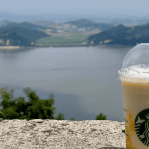 frullato estivo starbucks sul lago