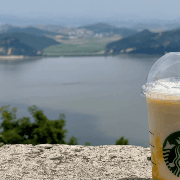 frullato estivo starbucks sul lago