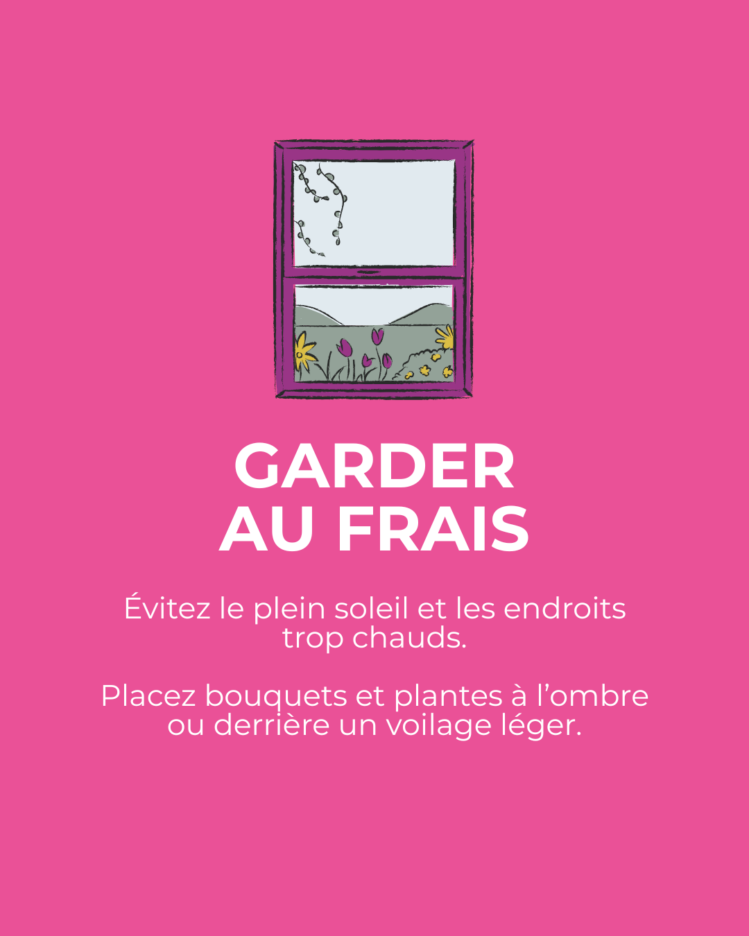 garder les fleurs au frais et à lombre