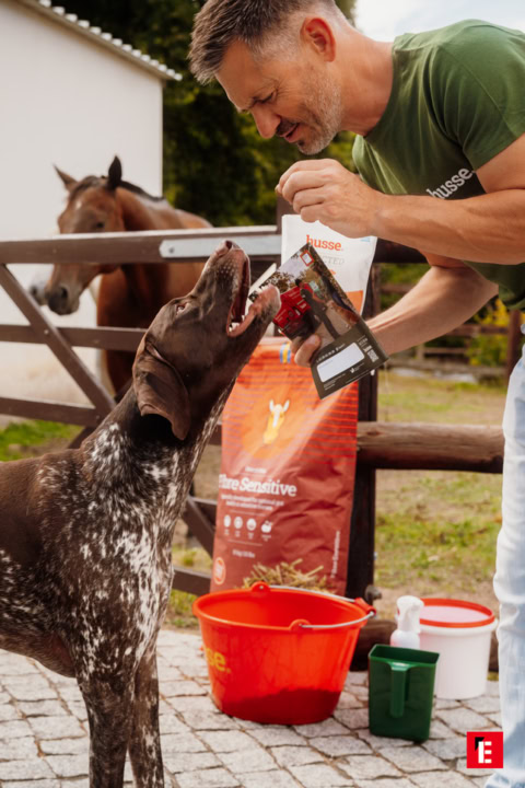 homme nourrit chien à lÉcurie avec cheval