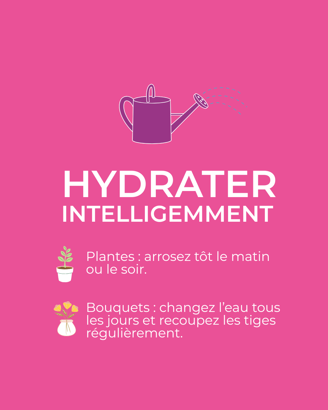 arrosage malin pour plantes et bouquets