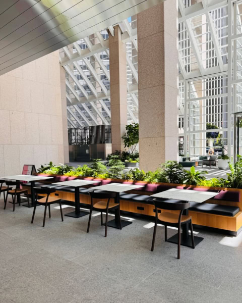 modern atrium café seating with indoor plants