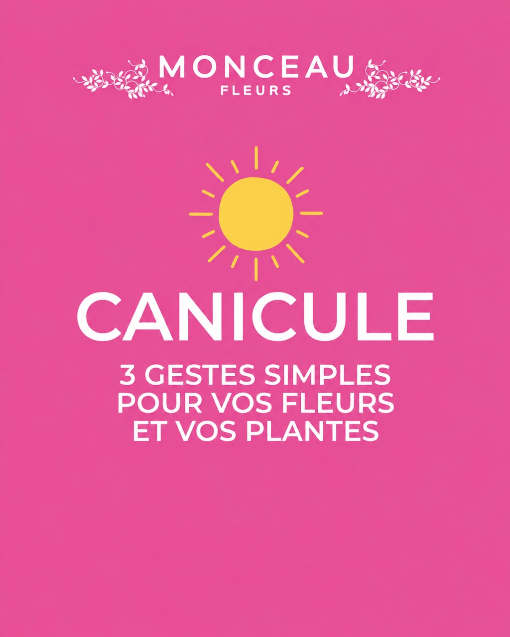 canicule : conseils pour fleurs et plantes