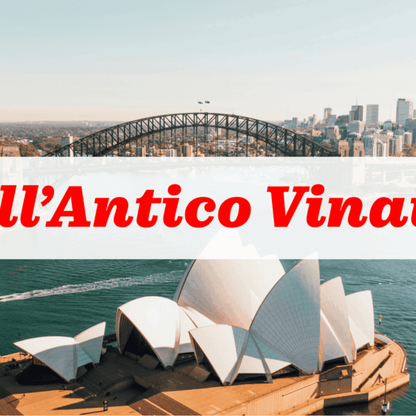 panorama di sydney: opera house e harbour bridge