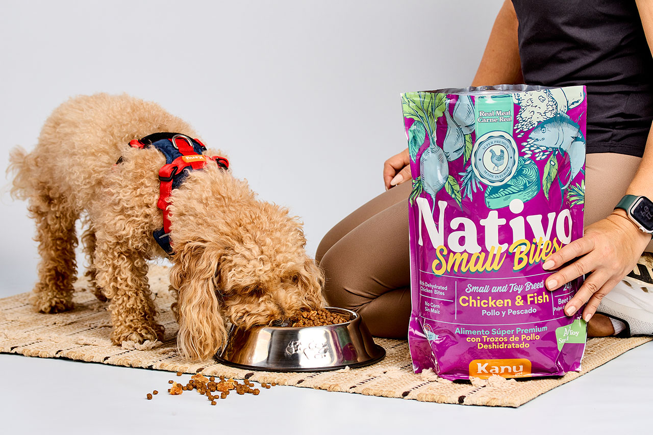 perro pequeño comiendo croquetas nativo small bites