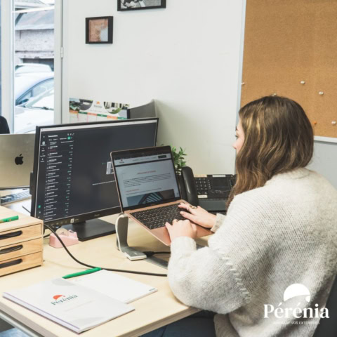 télétravail : bureau moderne lumineux à double Écran