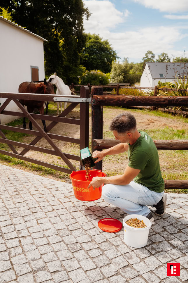 distribution de granulés aux chevaux