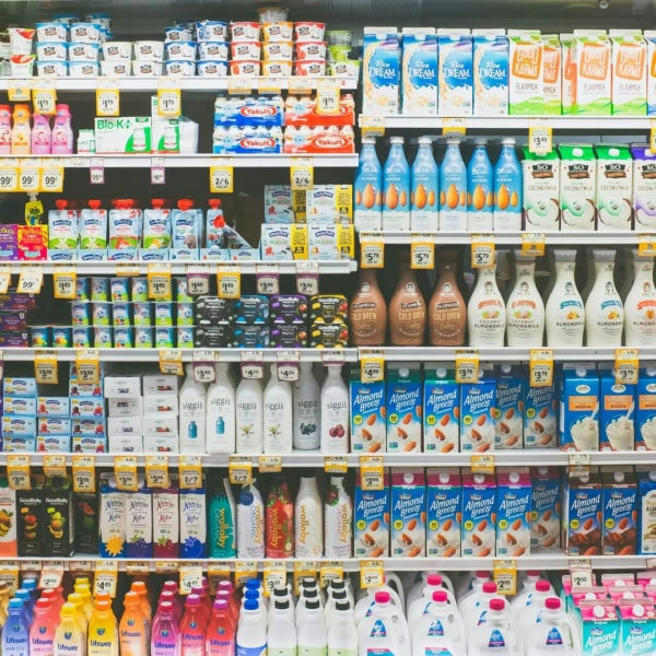 rayon réfrigéré: yaourts et laits végétaux variés