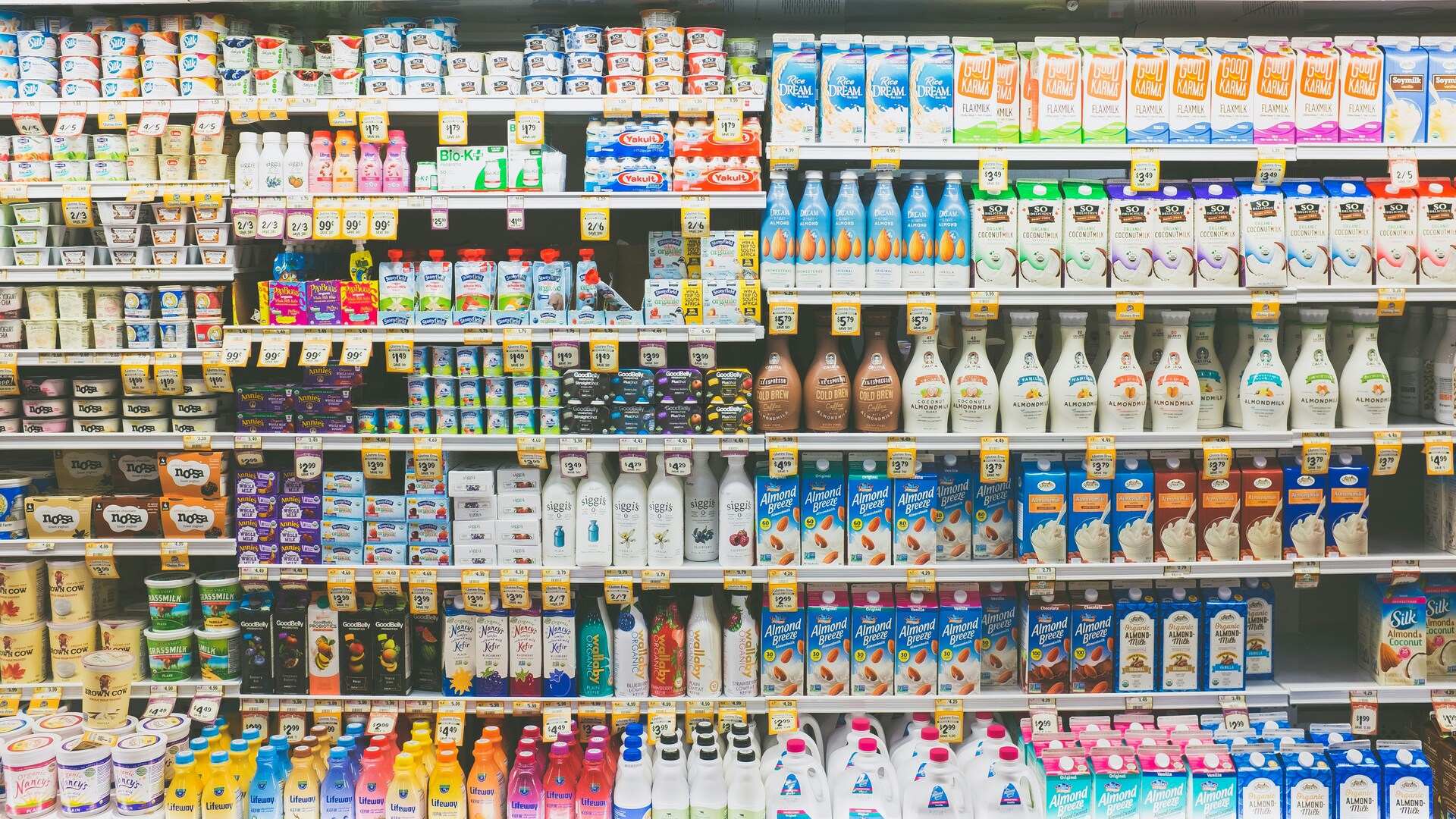 rayon réfrigéré: yaourts et laits végétaux variés