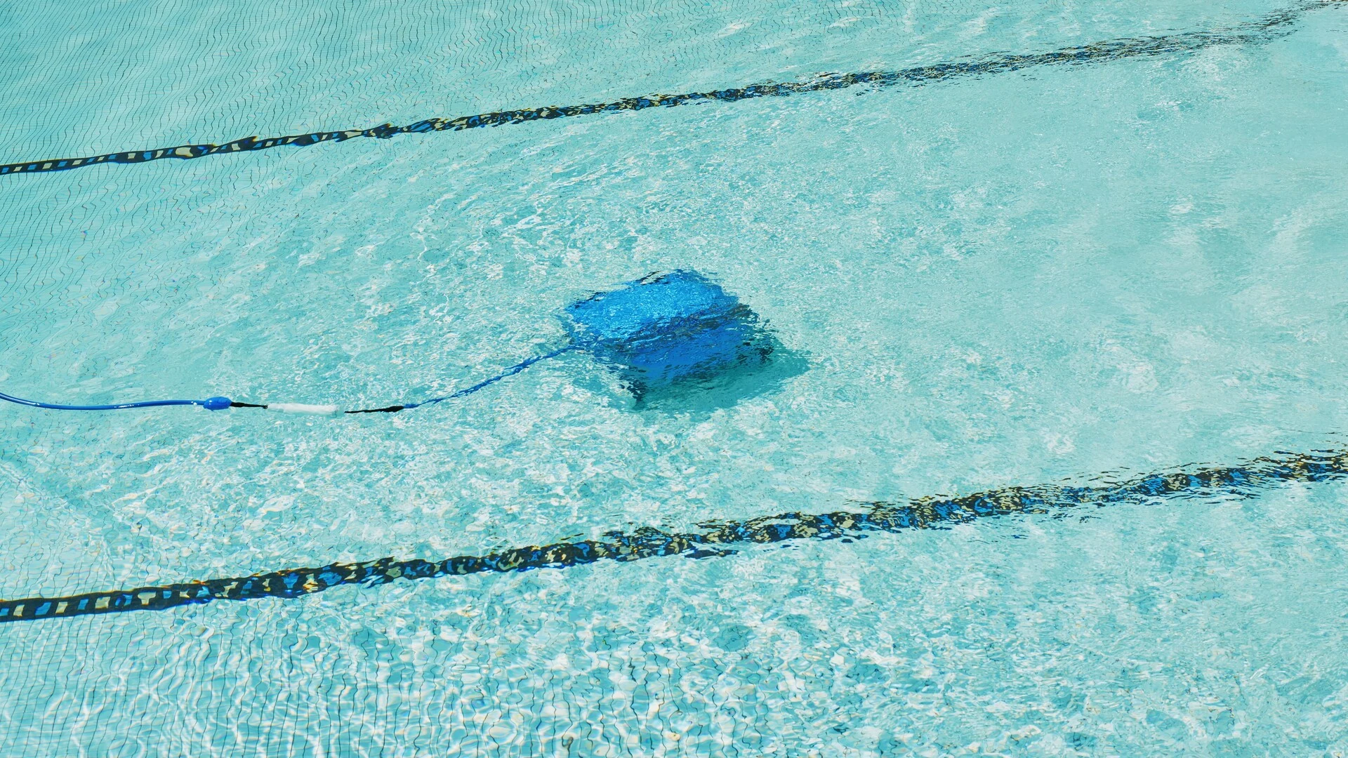 robot de piscine bleu dans eau turquoise