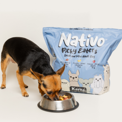 small picky dog eating nativo pet food