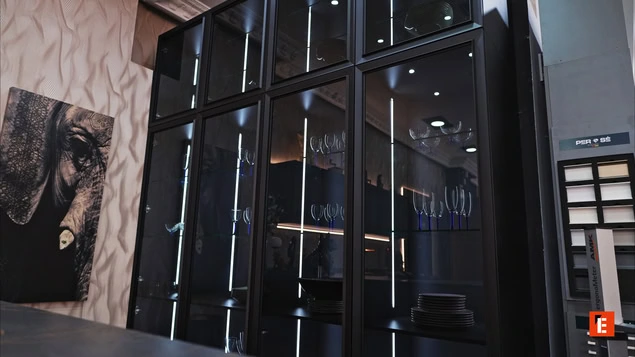 vitrina moderna de cristal negro con elefante