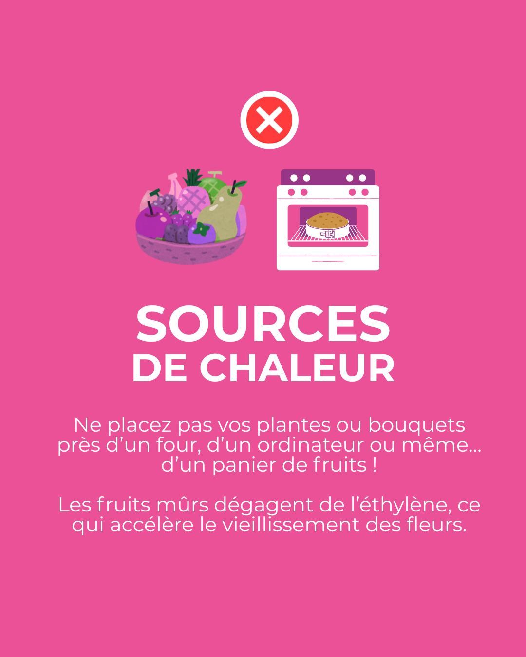 Évitez chaleur et fruits près de vos plantes