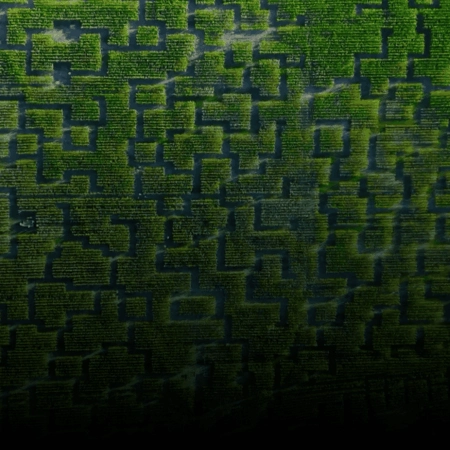 labyrinthe champs de maïs