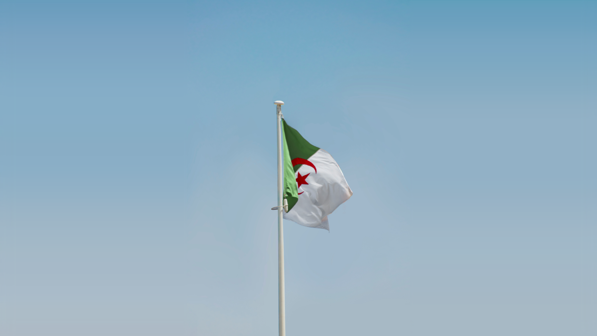 drapeau algérien au vent sur fond de ciel bleu
