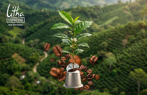 capsule espresso litha, caféier et grains naturels