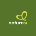 logo naturasi vert eco et minimaliste