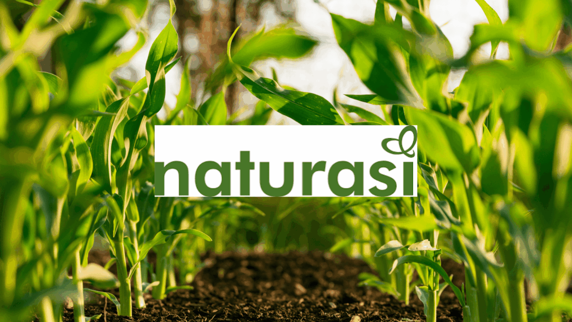 logo naturasi: jeunes pousses vertes Écologiques