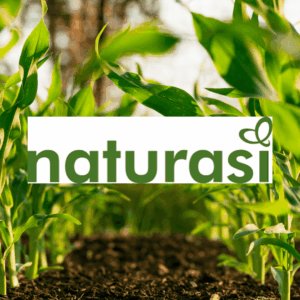 logo naturasi: jeunes pousses vertes Écologiques