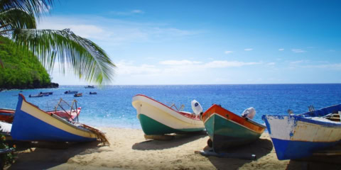 plage tropicale avec bateaux colorés et palmier