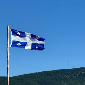drapeau bleu et blanc au vent sur mât rustique