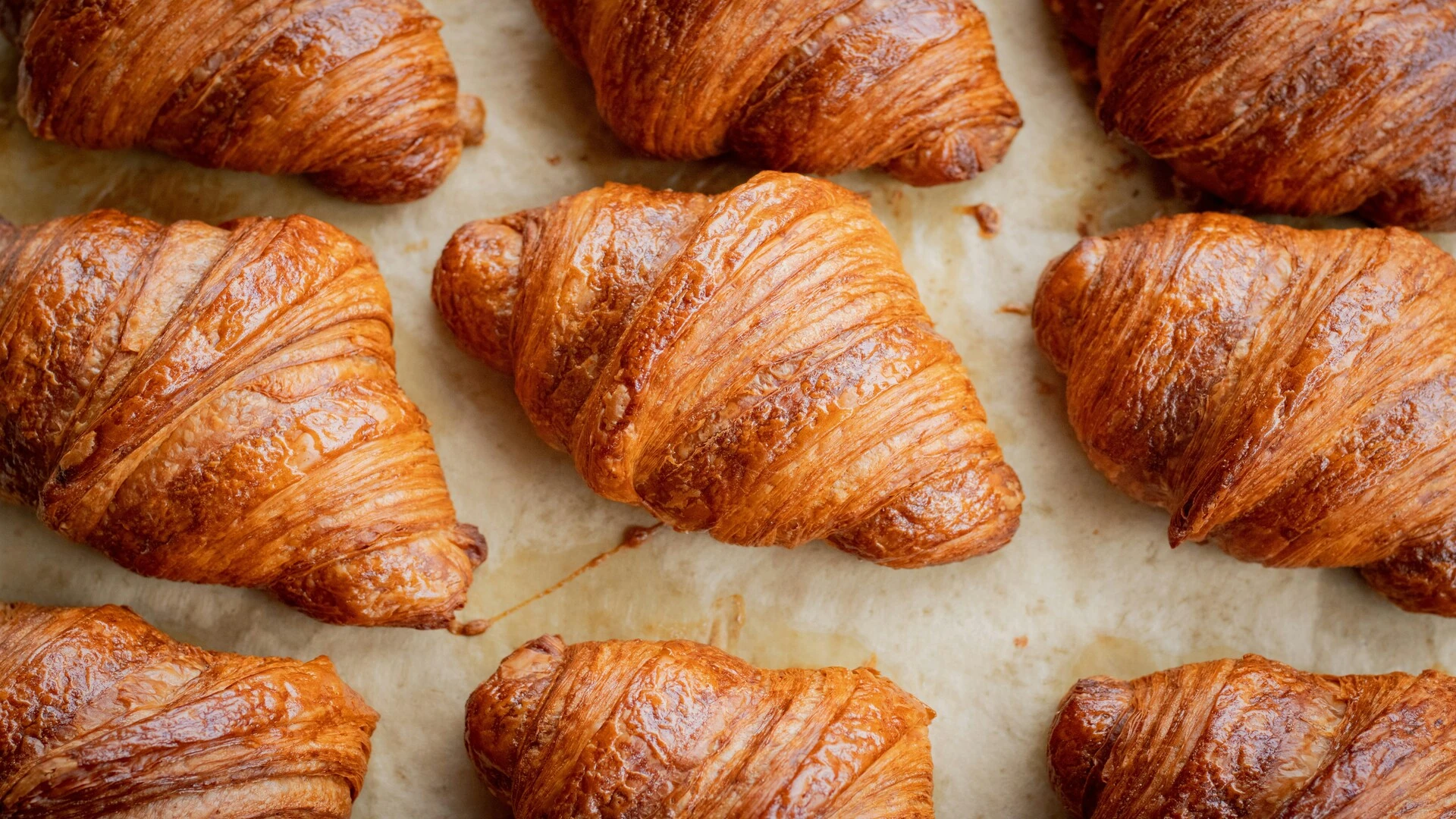 golden brown croissants, freshly baked on parchment