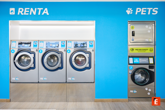 laverie moderne avec espace de lavage pour animaux
