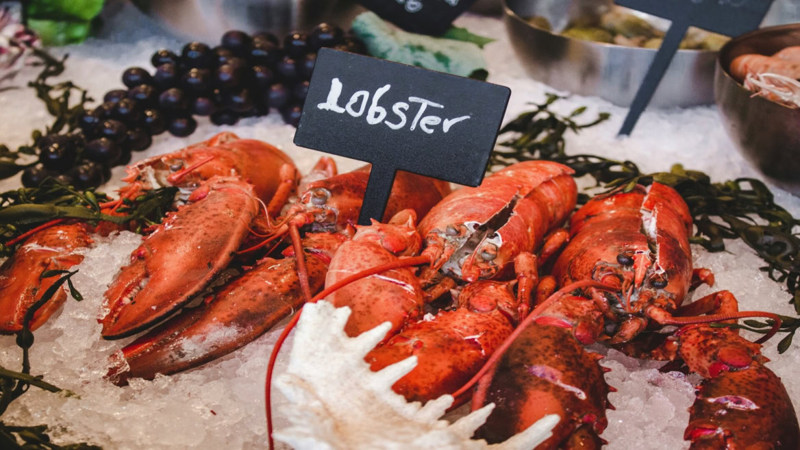 fresh lobster display on ice